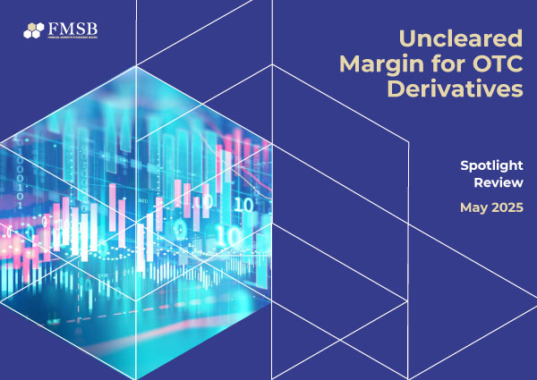 Uncleared Margin for OTC Derivatives