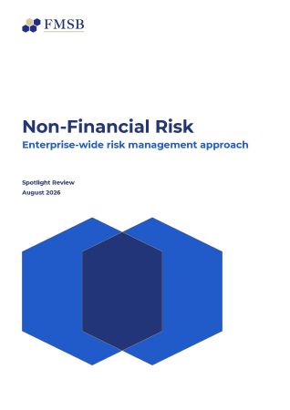 Non-Financial Risk: Enterprise-wide risk management approach